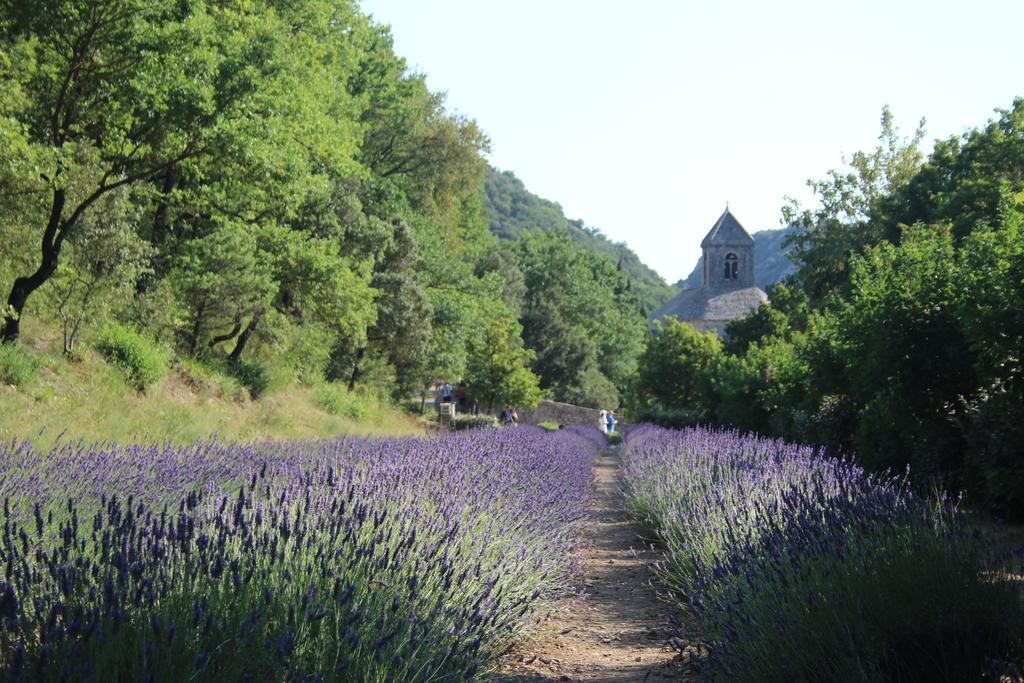 Le Mazet Du Domaine Villa Gordes Exterior foto